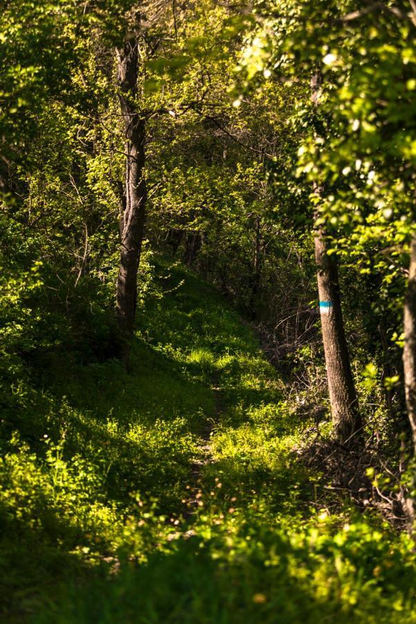 Ostello Podesteria Di Gombola - Arte E Territorio Polinago Екстер'єр фото